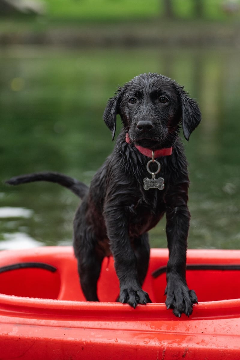 Water Adventures