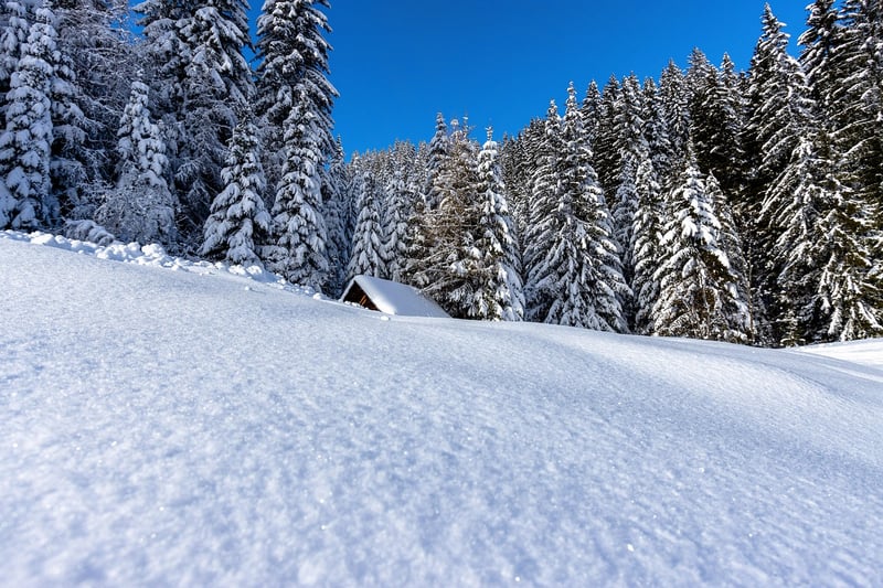 Wilderness Retreats