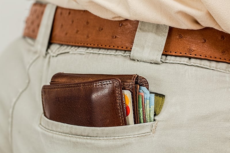 Travel Wallet